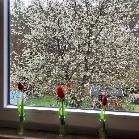 Ferienwohnung Schwarzachhoehe Nur Fuer Erwachsene 벤델스타인